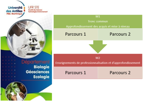 Formations | U.F.R. SCIENCES TECHNOLOGIES ENVIRONNEMENT